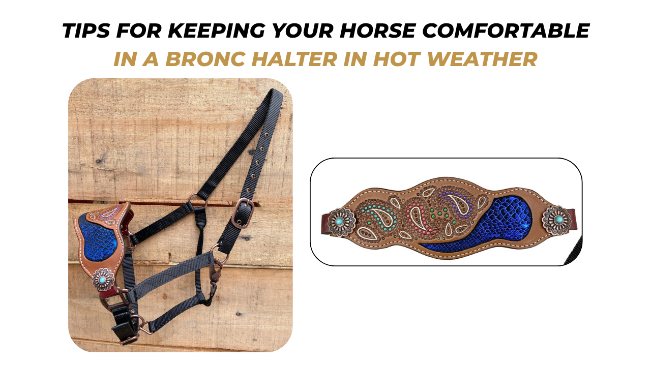 Tips for Keeping Your Horse Comfortable in a Bronc Halter in Hot Weather