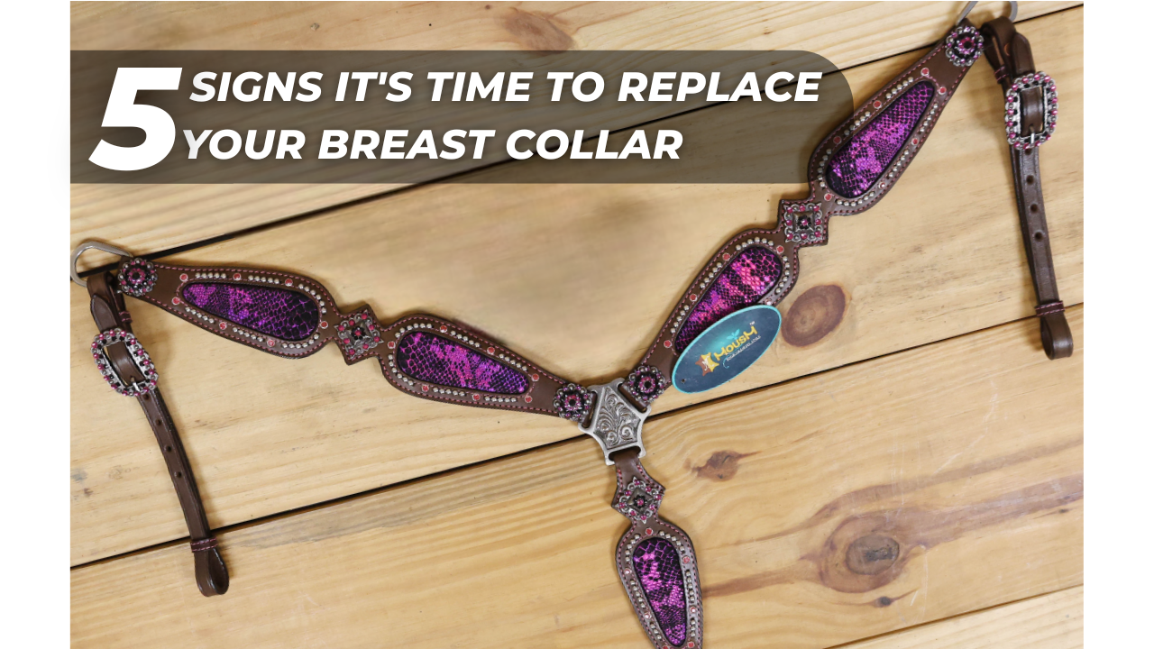 Is Your Breast Collar Wearing Out? 5 Signs It's Time to Replace It