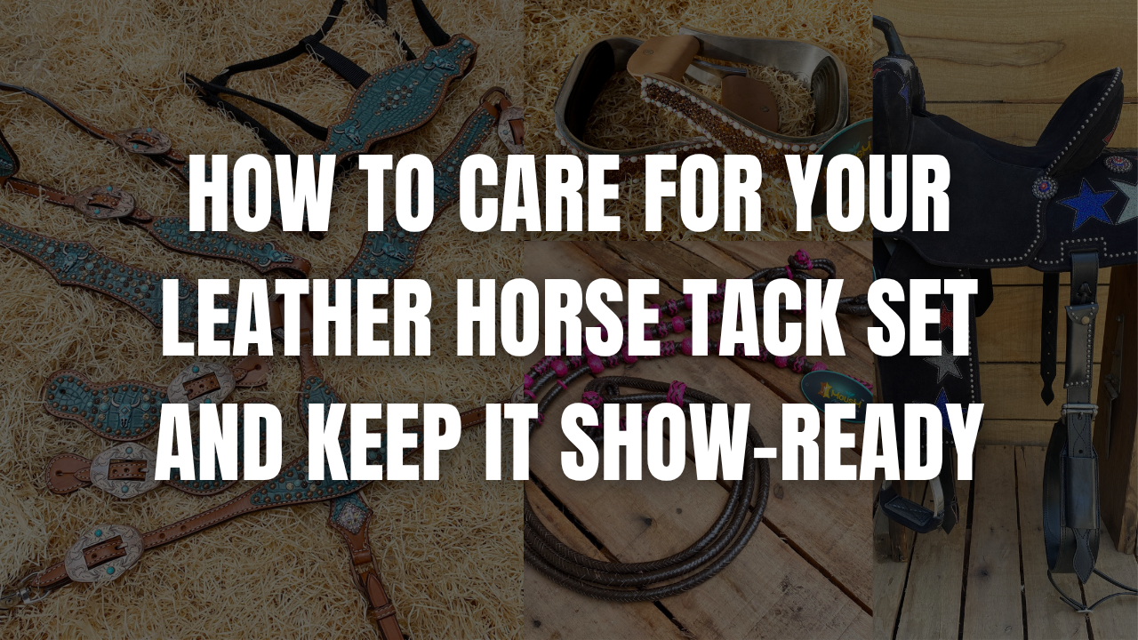 How to Care for Your Leather Horse Tack Set and Keep It Show-Ready