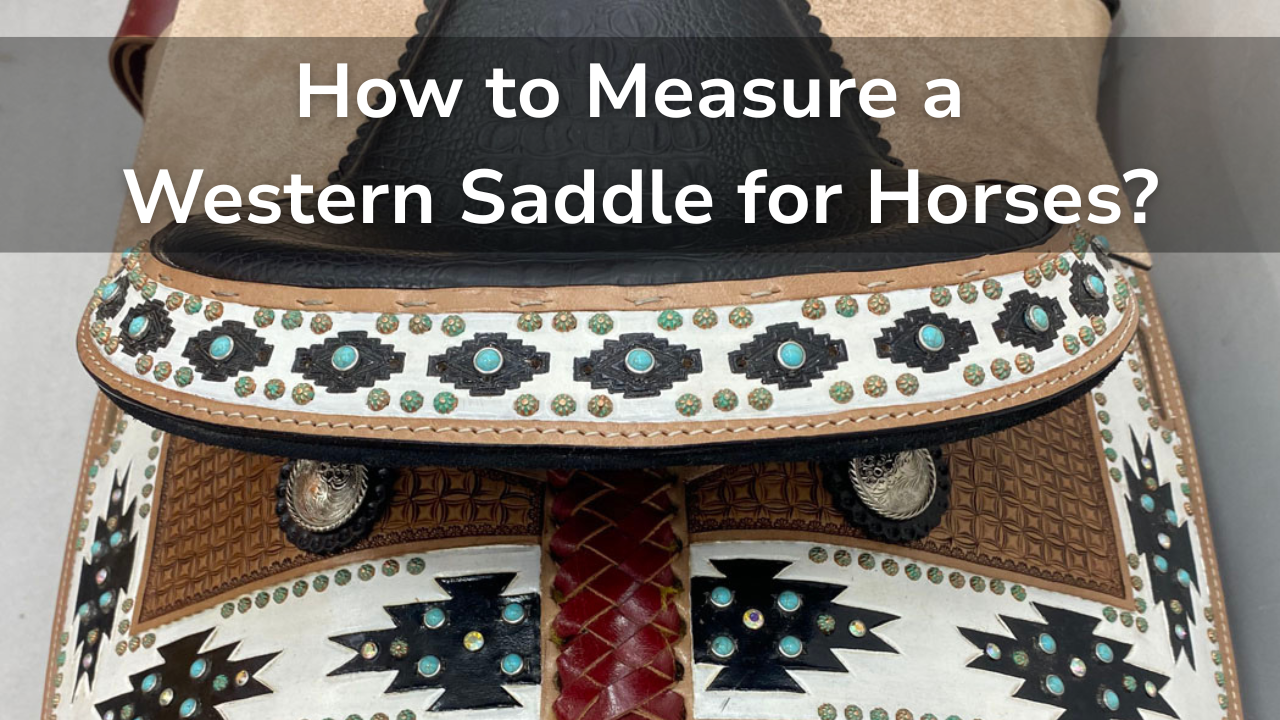 How to Measure a Western Saddle for Horses?
