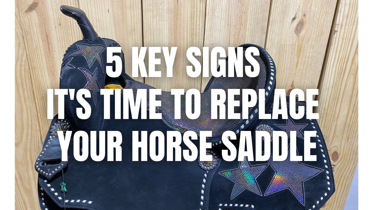 Comprehensive Guide to Cleaning, Caring for, and Maintaining Your Western Saddle