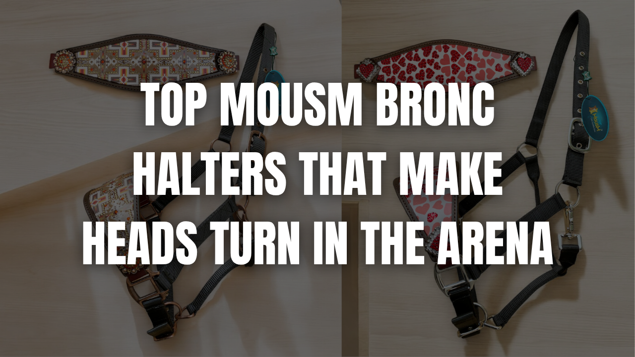 Top MOUSM Bronc Halters That Make Heads Turn in the Arena