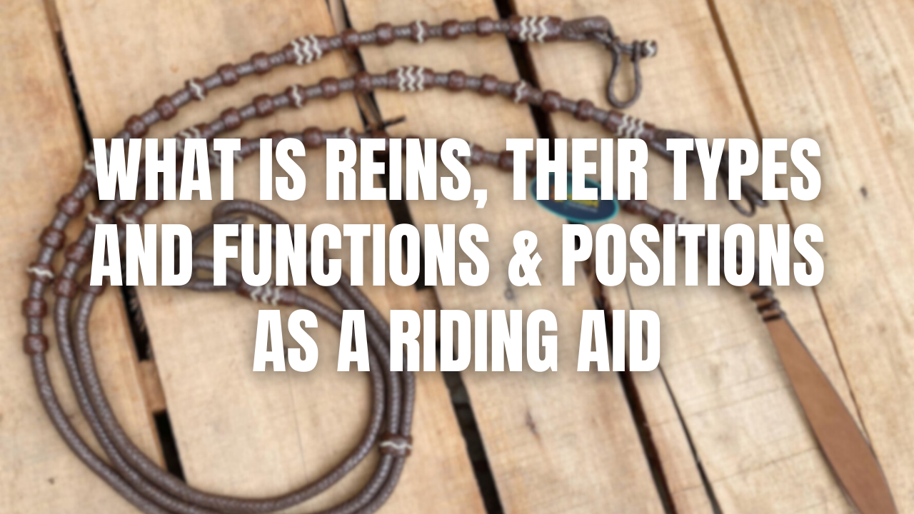 What is Reins, Their Types and Functions & Positions as a Riding Aid