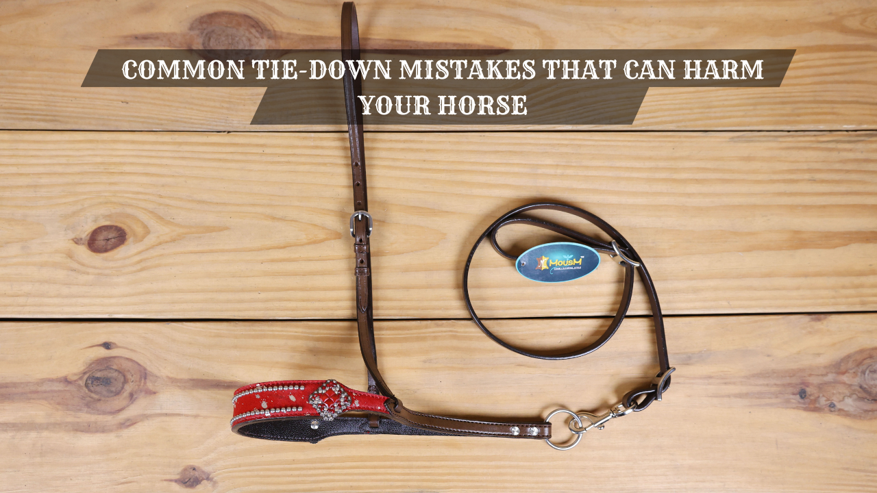 Common Tie-Down Mistakes That Can Harm Your Horse