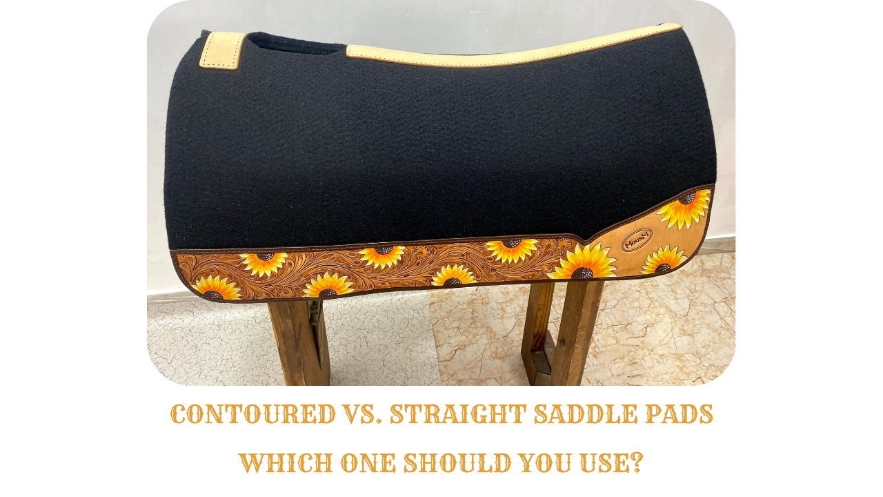 Contoured vs. Straight Saddle Pads: Which One Should You Use?