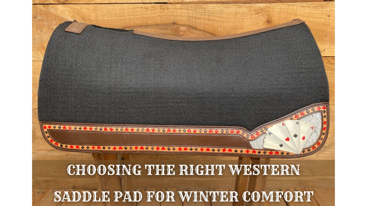 Cold Weather Riding: Choosing the Right Western Saddle Pad for Winter Comfort