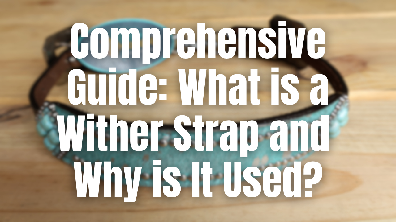 Comprehensive Guide: What is a Wither Strap and Why is It Used?