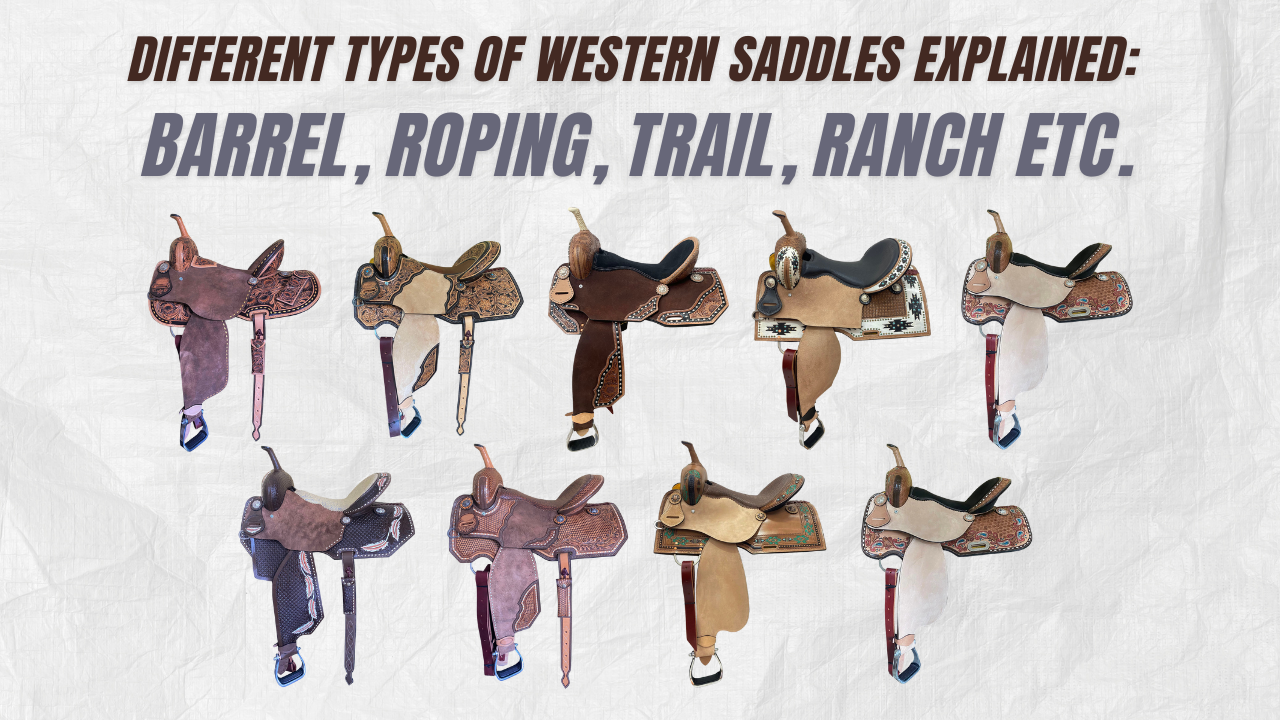 Different Types of Western Saddles Explained: Barrel, Roping, Trail, etc.
