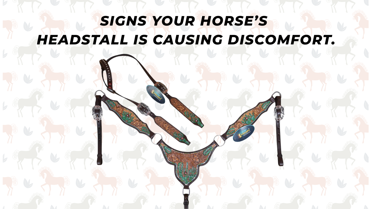 Signs Your Horse’s Headstall Is Causing Discomfort