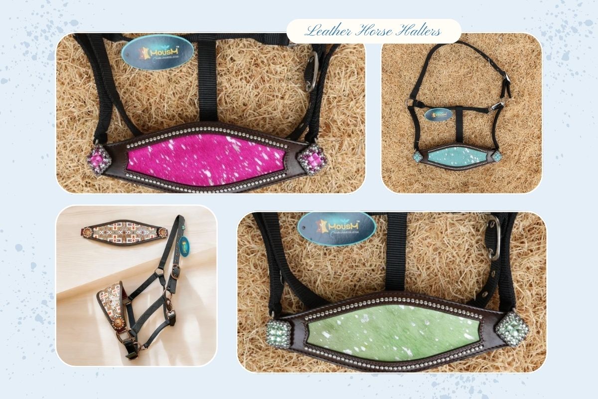 Leather Horse Halters: What to Look for in Quality and Design