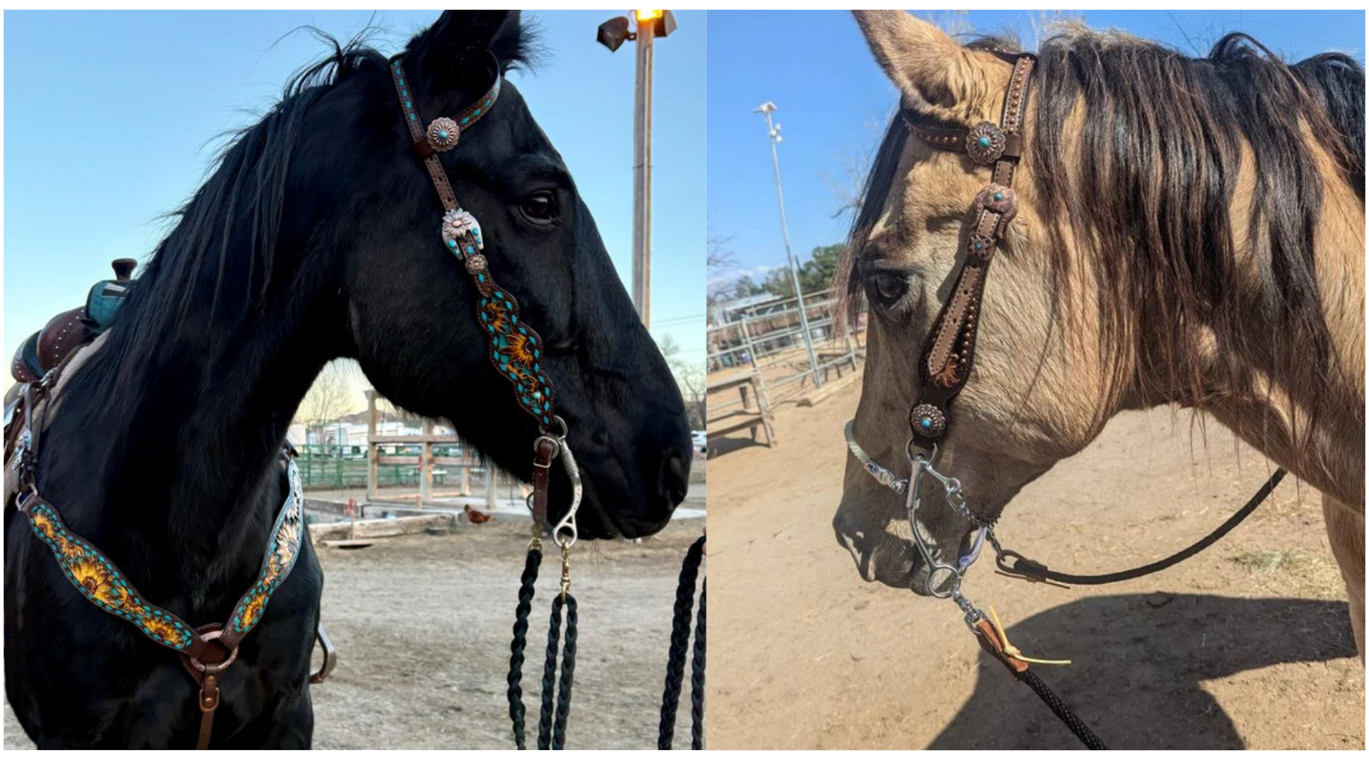 Use of One Ear/Single Ear Headstall Set?