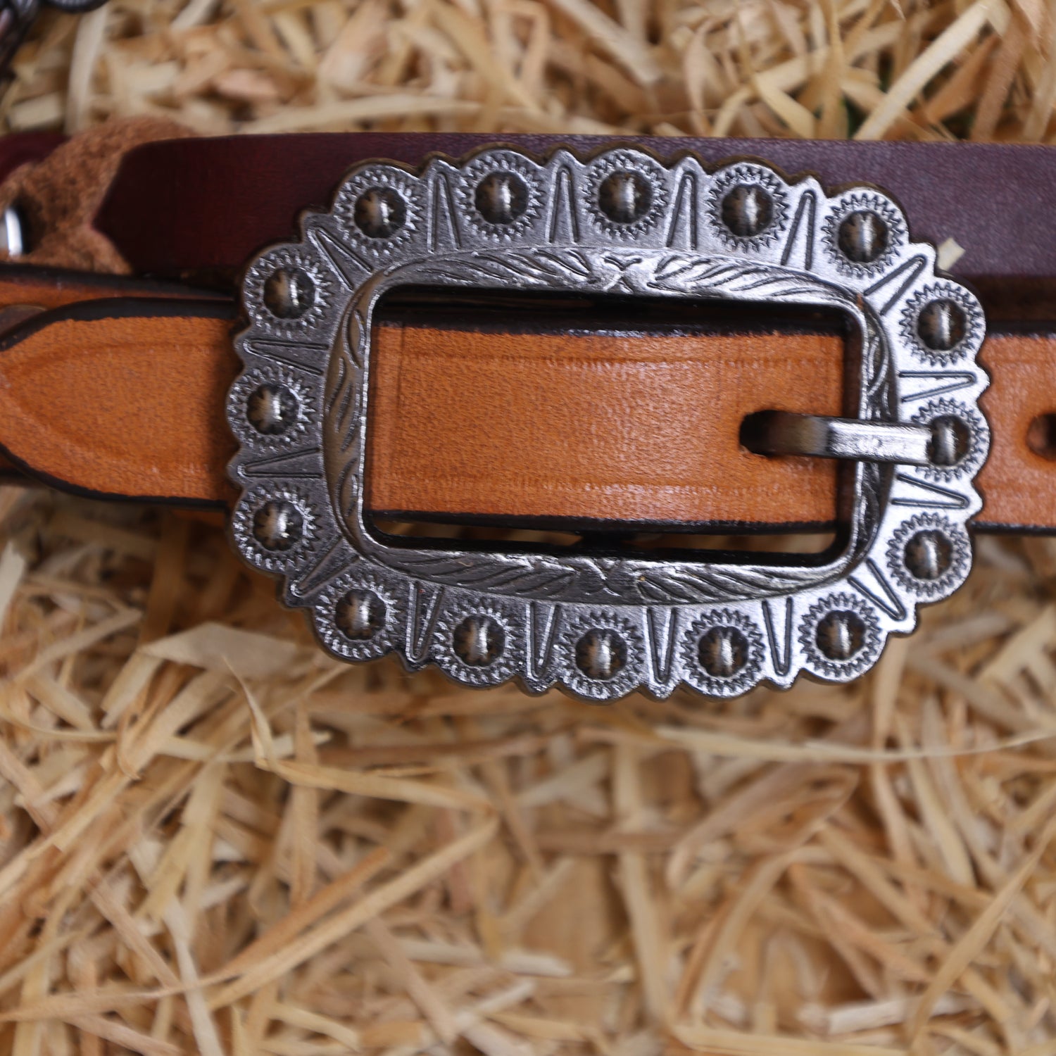 MOUSM Western Headstall and Breast Collar Set – Handcrafted from Genuine Argentina Cow Leather with Braided One-Ear Headstall &amp; Cheek Piece, Stainless Steel Rings Breast Collar, Leather Strings &amp; Congress Conchos