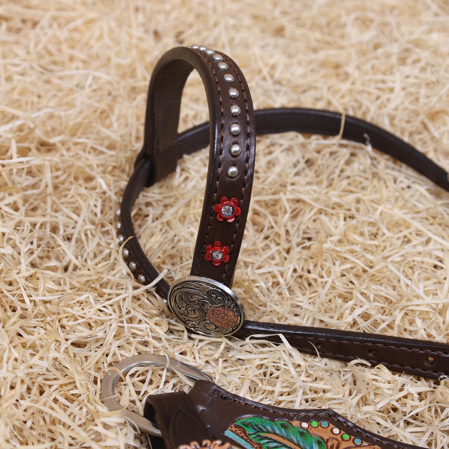 MOUSM Western Horse Headstall and Breast Collar Set – Made from Genuine Argentina Cow Leather, Decorated with Hand-Painted Cactus and Floral Carving, Featuring a Flower-Engraved Concho on One-Ear, Designed to Fit Average Full-Size Horses