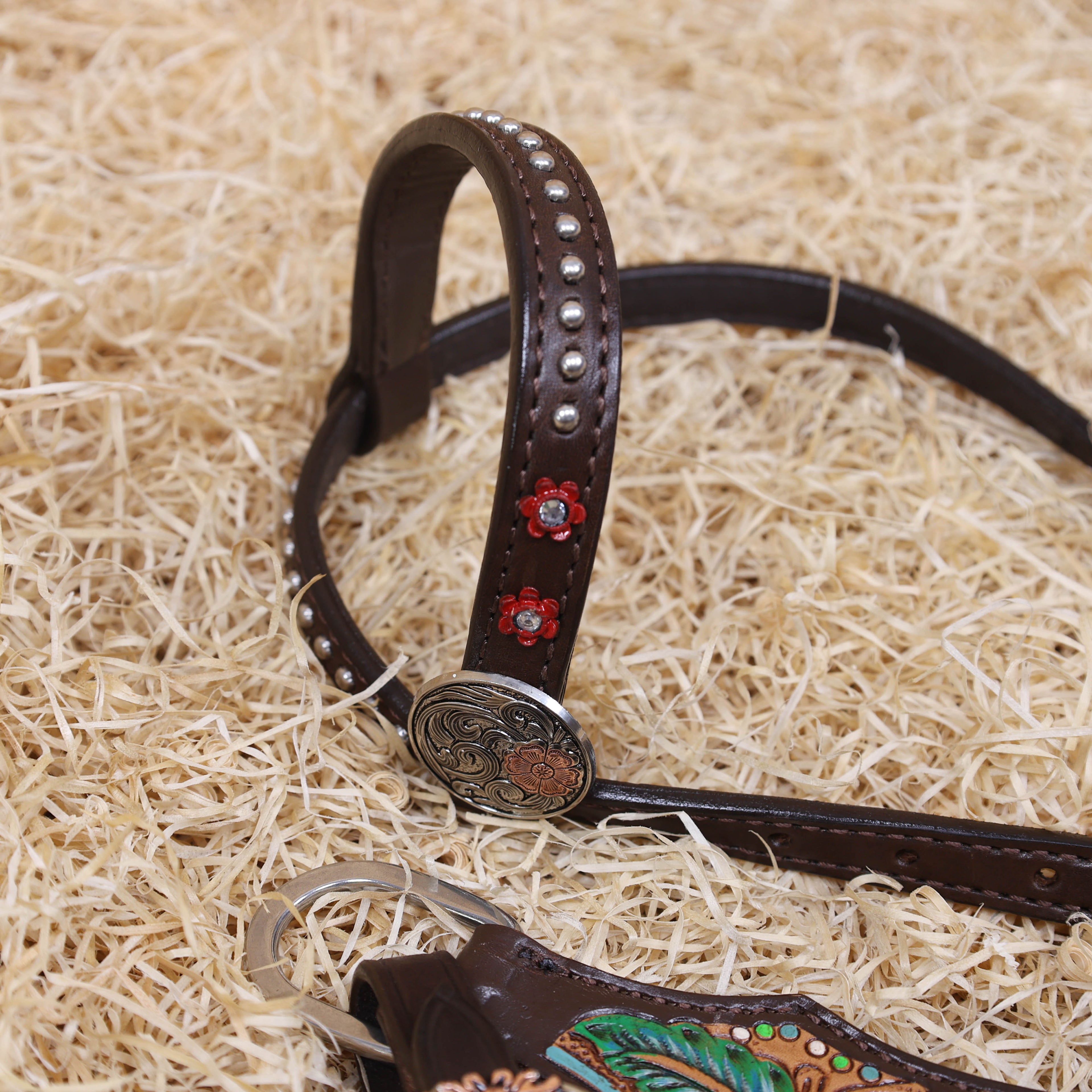 MOUSM Western Horse Headstall and Breast Collar Set – Made from Genuine Argentina Cow Leather, Decorated with Hand-Painted Cactus and Floral Carving, Featuring a Flower-Engraved Concho on One-Ear, Designed to Fit Average Full-Size Horses