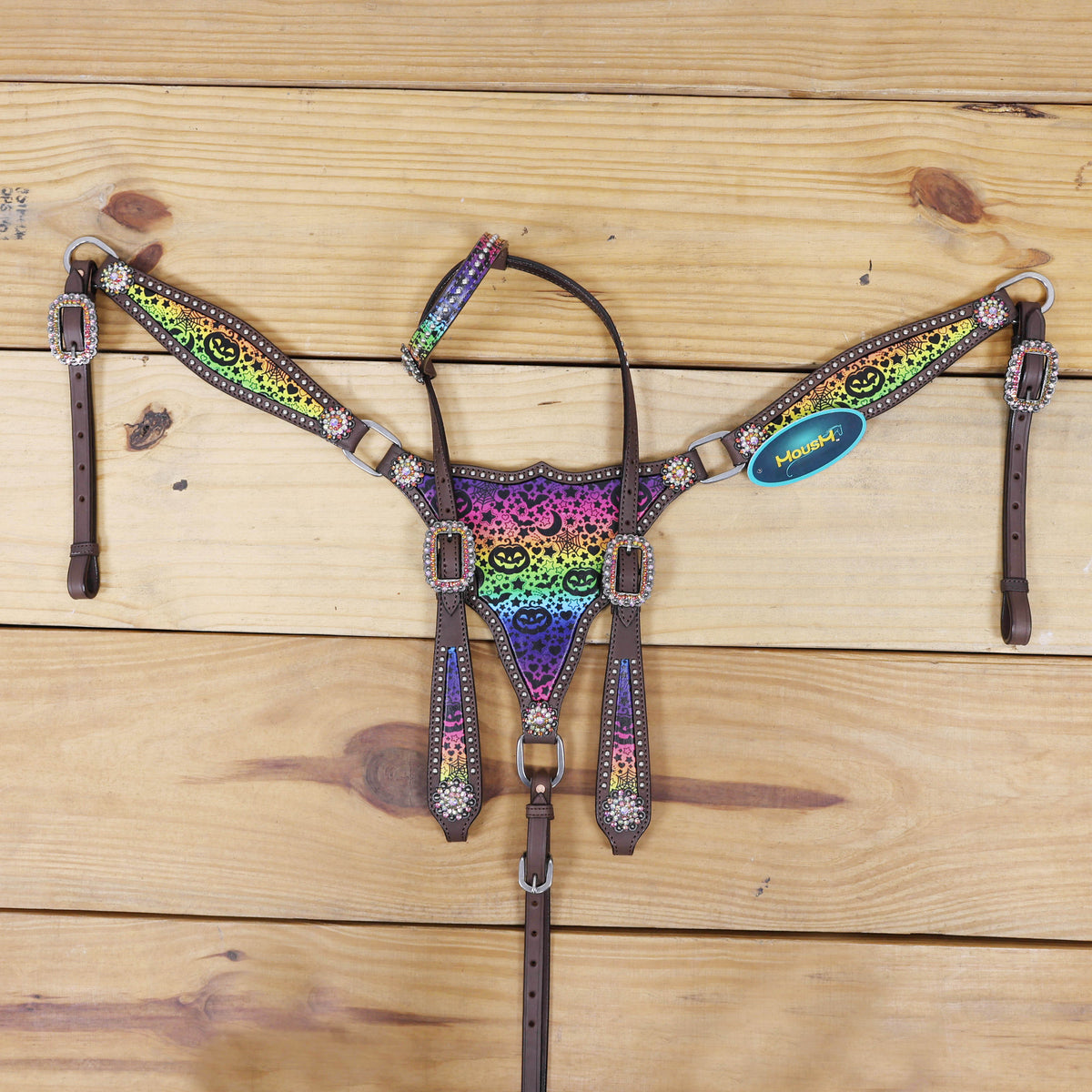 Rainbow Style Print Halloween Wester One Ear Headstall Set