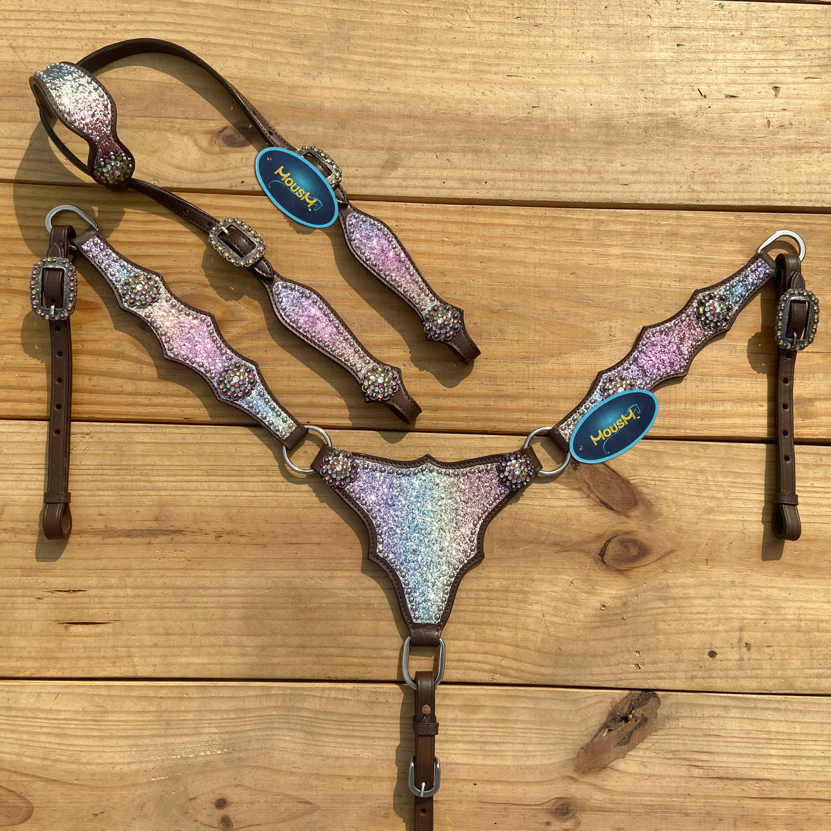 Rainbow Glitter Alligator with Rawhide Silver Studs Headstall Set