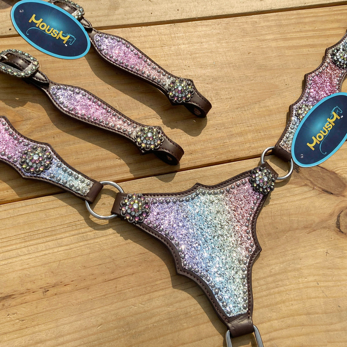 Rainbow Glitter Alligator with Rawhide Silver Studs Headstall Set