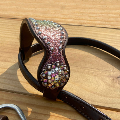 Rainbow Glitter Alligator with Rawhide Silver Studs Headstall Set