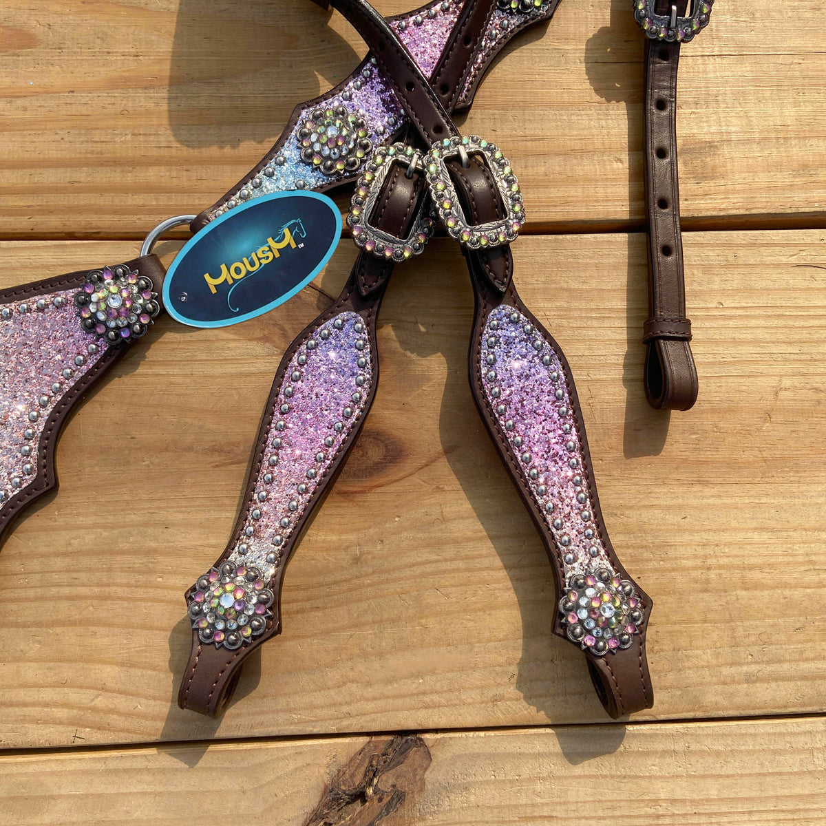 Rainbow Glitter Alligator with Rawhide Silver Studs Headstall Set