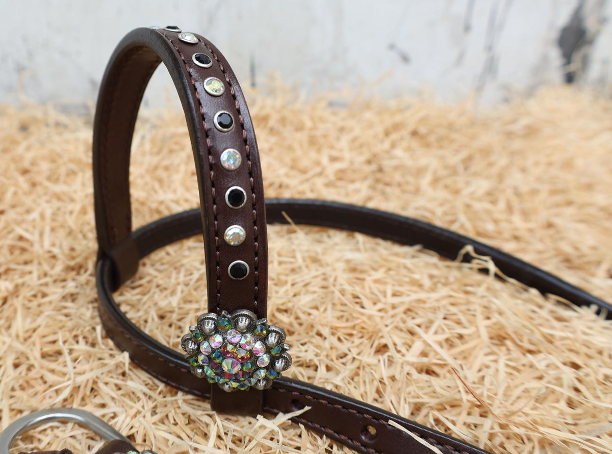 western horse headstall designed for halloween parties 