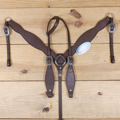 plain brown leather headstall and breast collar, and strong antique nickel hardware.