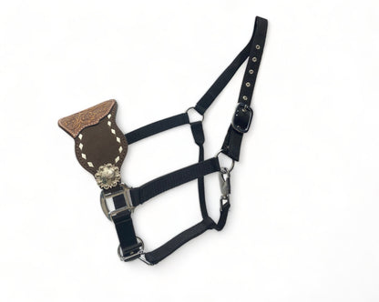Genuine Argentina Cow leather Bronc Halter for Horses, Decorated with nickle congress concho and white raw hide brading with flower carving