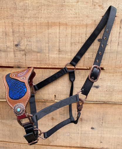 Genuine Argentina Cow leather Bronc Halter for Horses, Decorated with paisley carving with royal sanck print