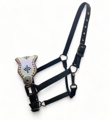 Bronc Halter for Horses, Decorated with holographic snake print with sun brust studs and turquoise royal ribits.