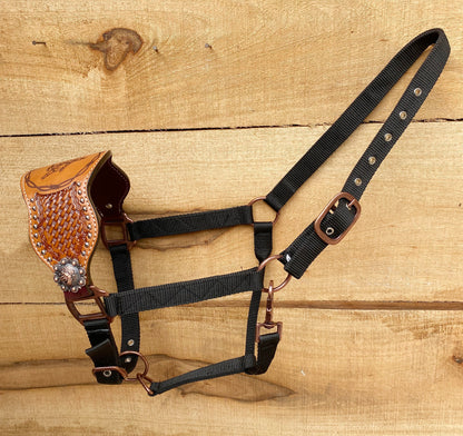Genuine Argentina Cow leather Bronc Halter for Horses, Decorated with basket tooling with BOB wire engraving with barrel horse