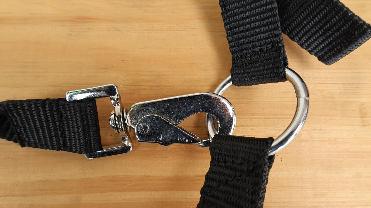 leather Bronc Halter for Horses, Leather Horse Noseband Decorated with lime green metallic acid wash cowhide look by Mousm