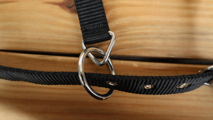 leather Bronc Halter for Horses, Leather Horse Noseband Decorated with Orange metallic acid wash cowhide look by Mousm