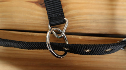 leather Bronc Halter for Horses, Leather Horse Noseband Decorated with Royal blue metallic acid wash cowhide look by Mousm