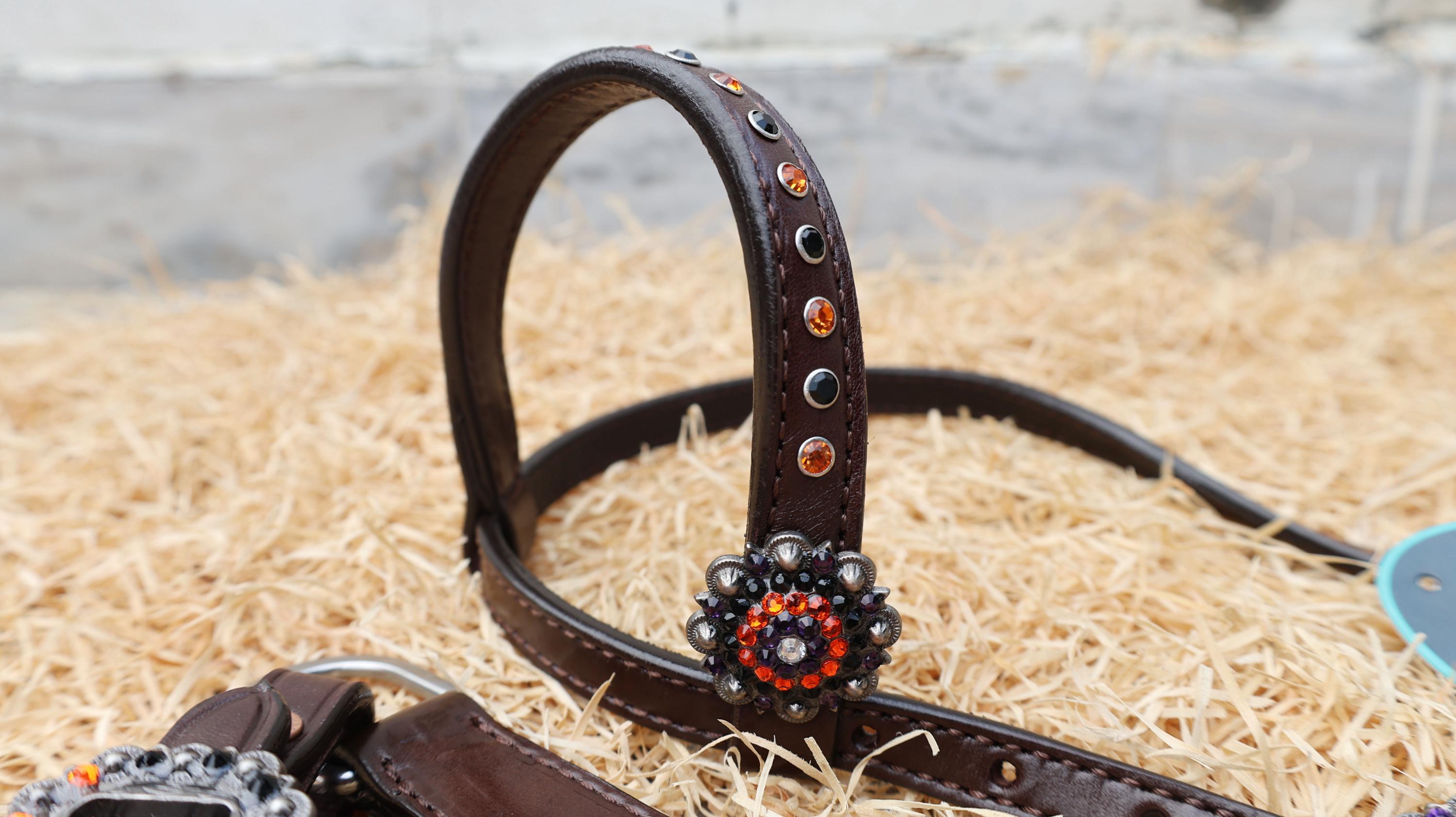 Halloween Headstall tack set decoration ghost and skulls laughing Halloween pumpkin with purple orange strip background rhinestone conchos