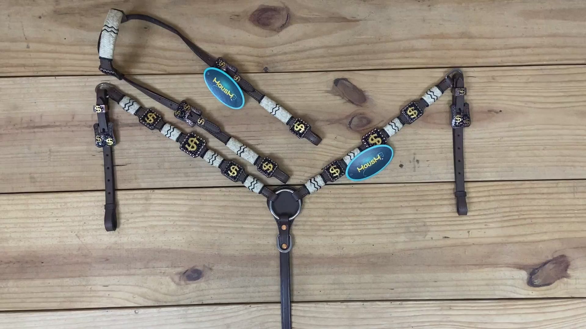western horse tack set with bold dollar sign conchos and detailed rawhide knotting