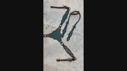 Teal Alligator Accents Western Horse Tack Set