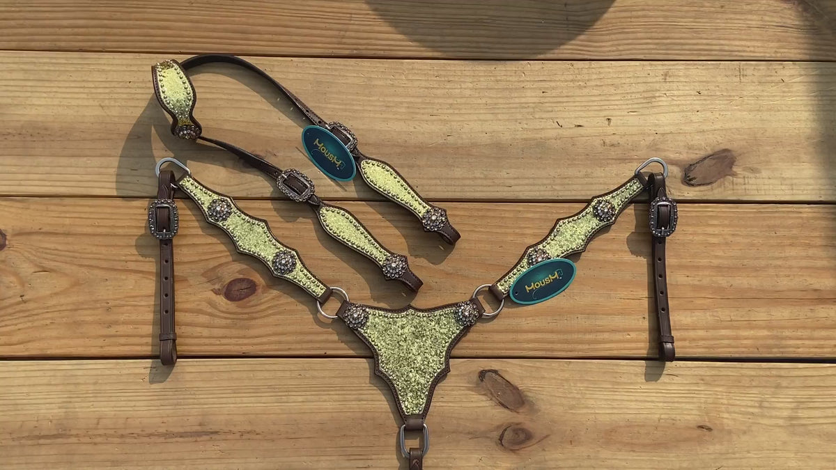 Golden Glitter Alligator Western Tack Set with Rhinestone Conchos