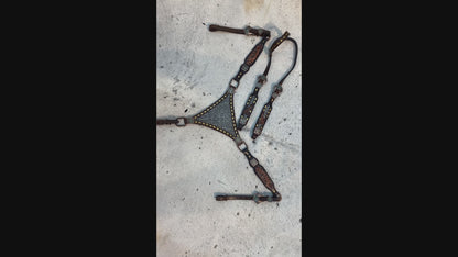 Gray Alligator Headstall and Breast Collar Tack Set