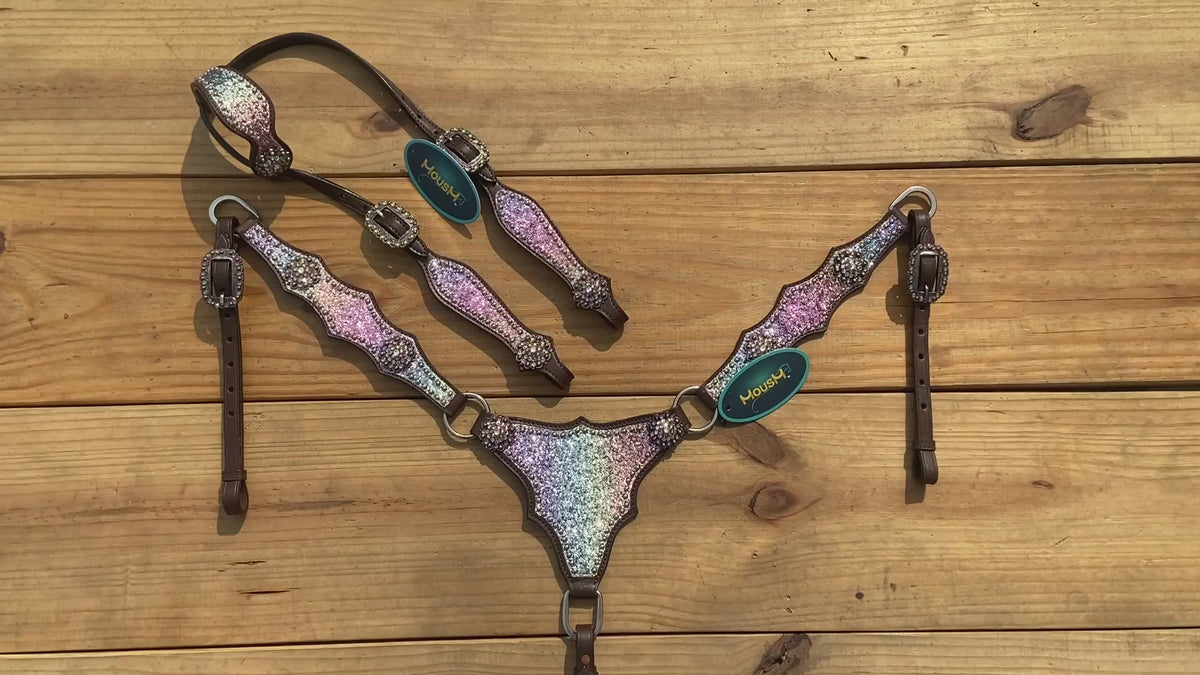 Rainbow Glitter Alligator with Rawhide Silver Studs Headstall Set