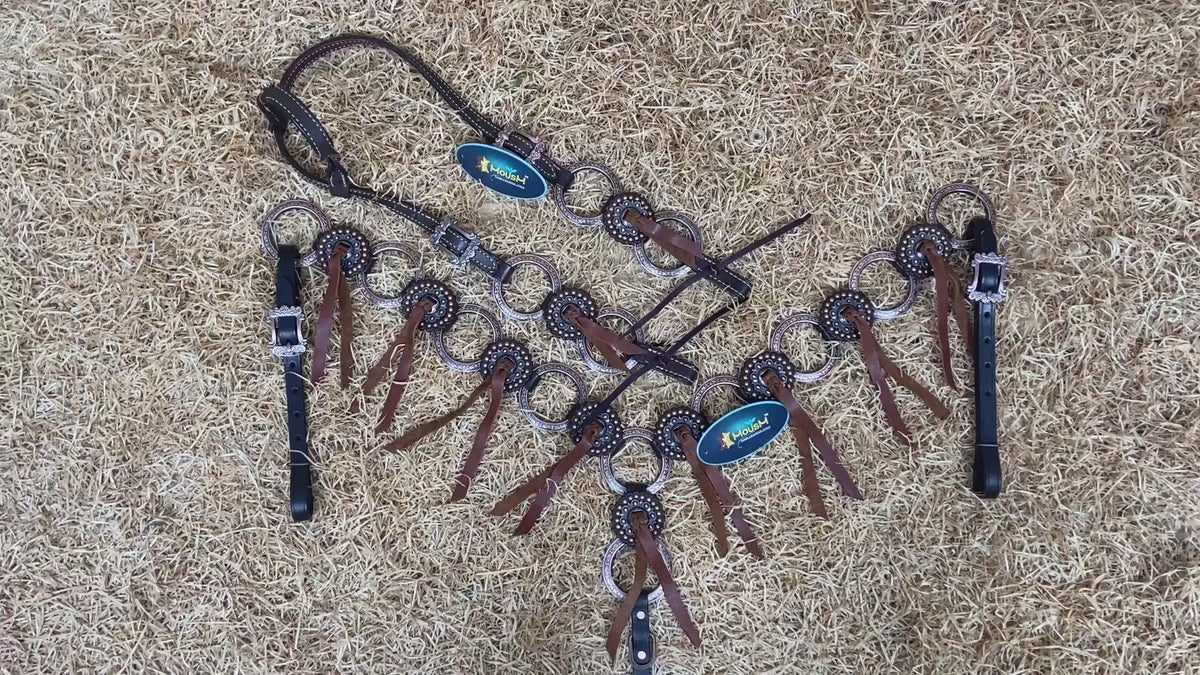 Twisted Cheek Piece &amp; Leather Fringe Ring Horse Tack Set